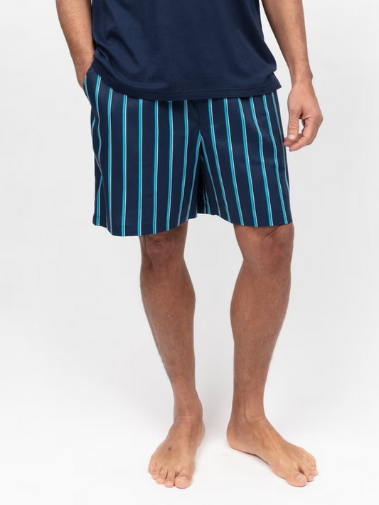 SALEM-Cotton Modal Blend Printed Stripe Pyjama Shorts, Navy